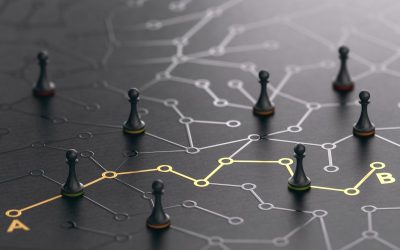 Developing Capabilities to Benefit from New Business Opportunities